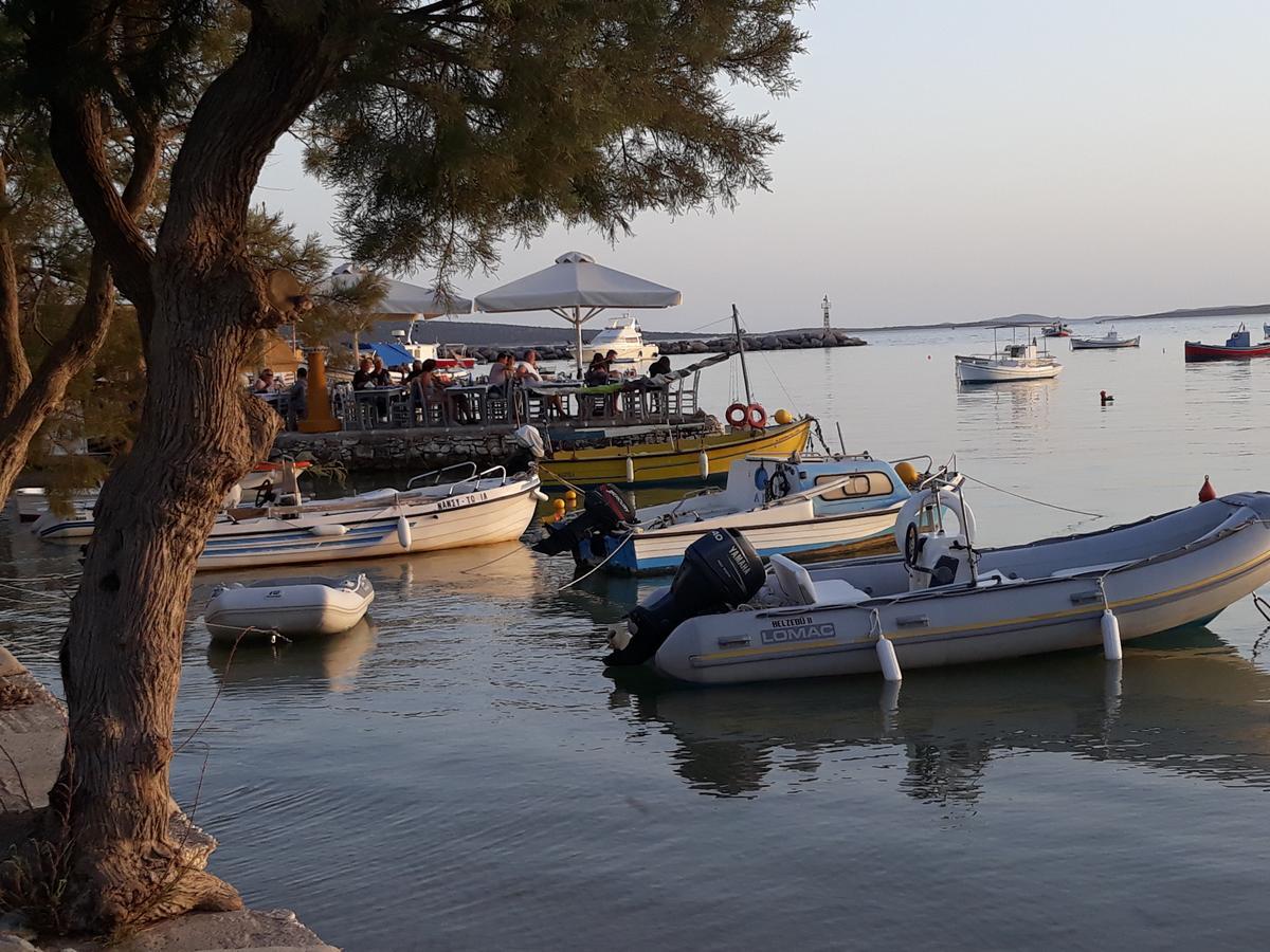 Holidays In Paros Alikí エクステリア 写真