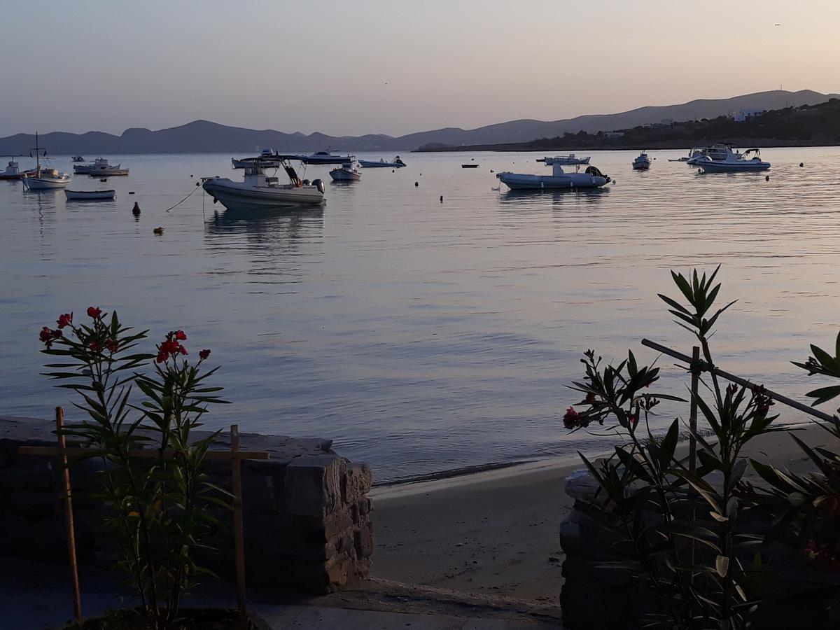 Holidays In Paros Alikí エクステリア 写真