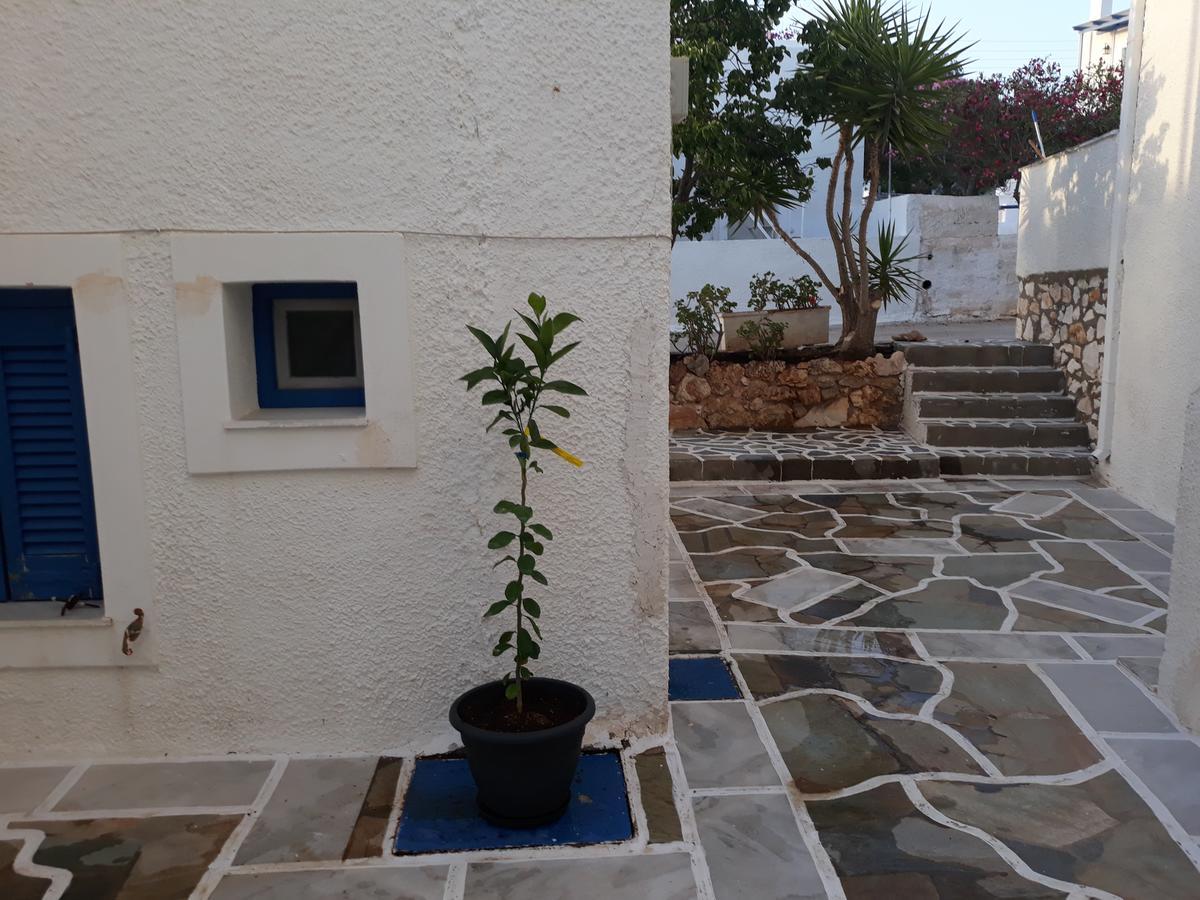 Holidays In Paros Alikí エクステリア 写真